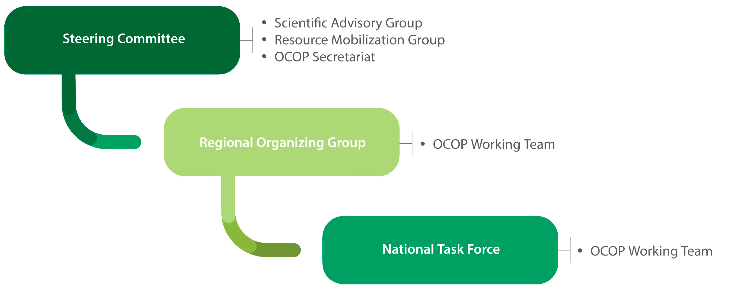 Coordination and implementation of the OCOP