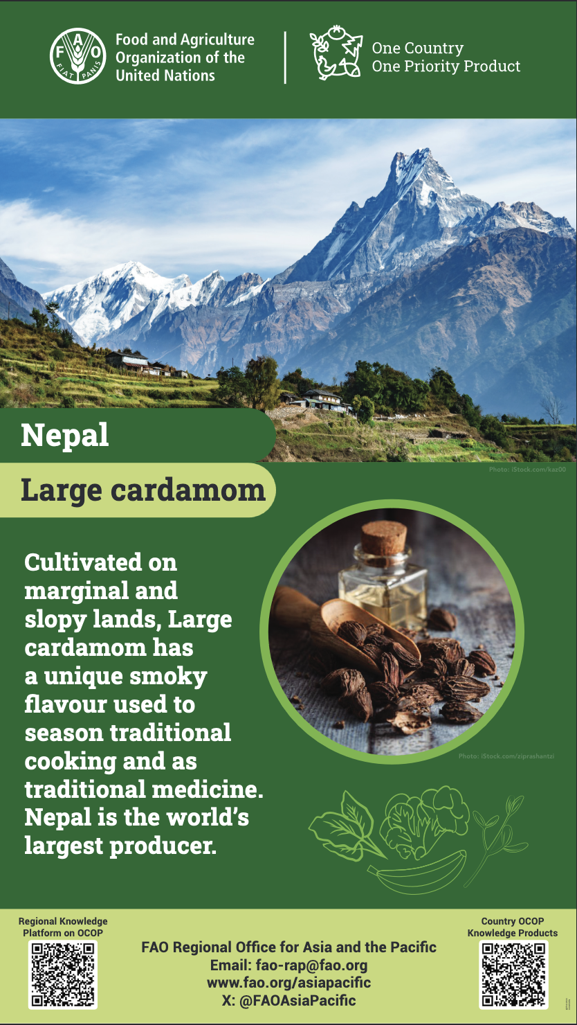 Large Cardamom_Nepal_poster
