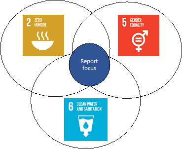 Figure 1: The program intricately links three Sustainable Development Goals