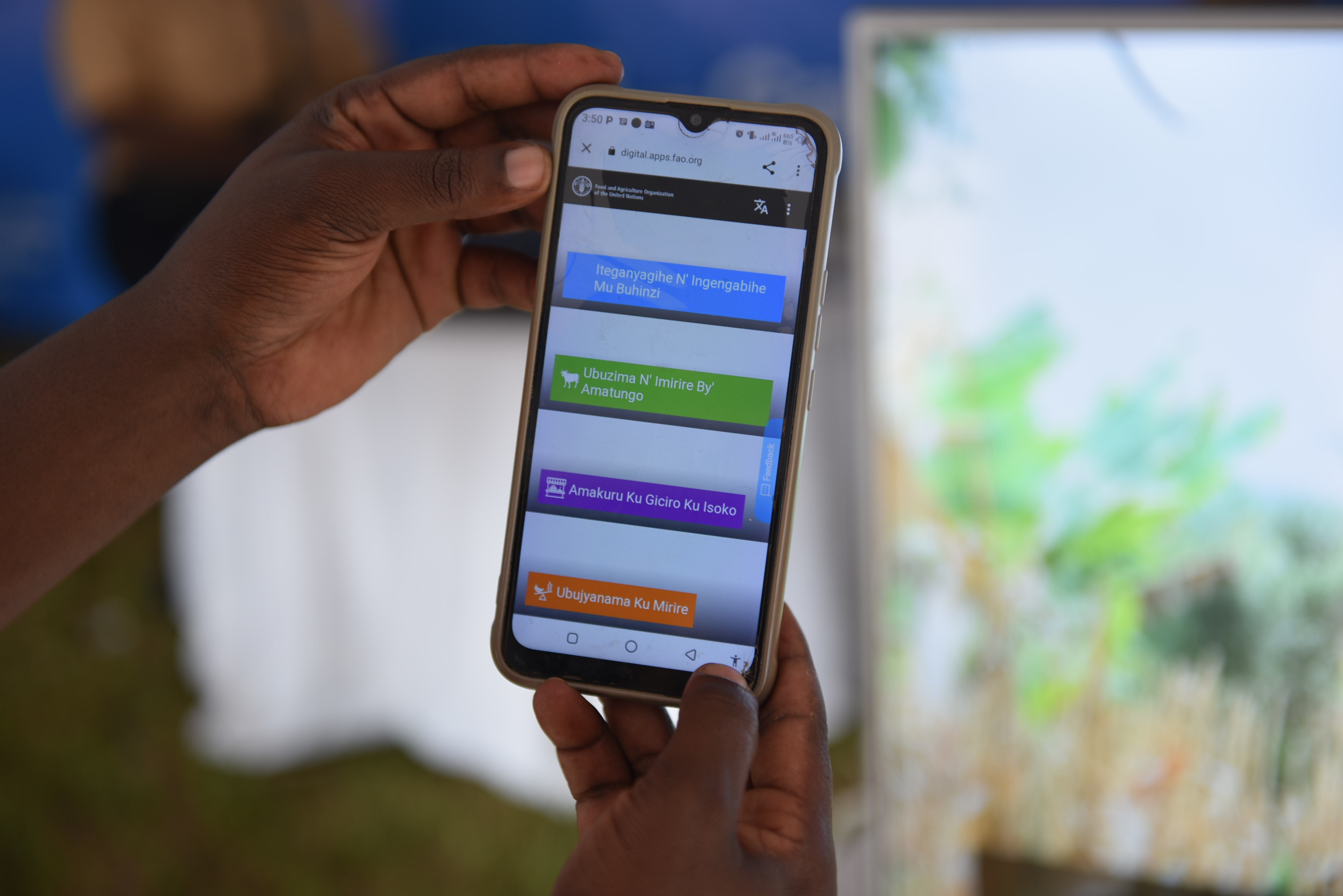 A farmer  browsing Digital service portfolio with four mobile services for increasing his knowledge in agriculture best practices and access to Market