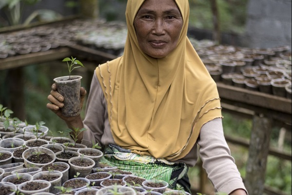 Philippines - Maira Palindok, a beneficiary of seedlings from the Food and Agriculture Organization of the United Nations (FAO) Marawi Response Project Mission, removing weeds at her Food Security Convergence Nursery at Barangay Guimba, Marawi City, Lanao del Sur.