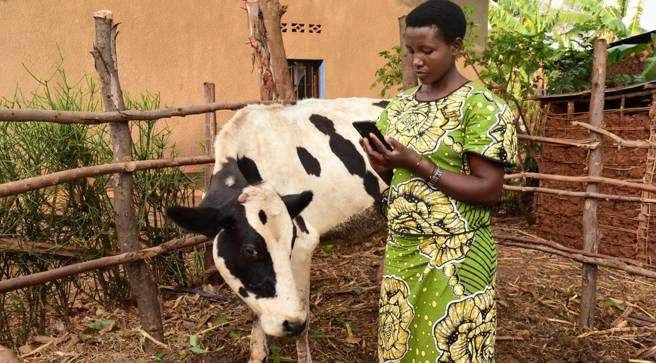 Agriculture is one of the crucial sectors that will be leveraged to digitalize Rwanda’s Economy