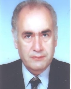 Adel S. El -Beltagy
