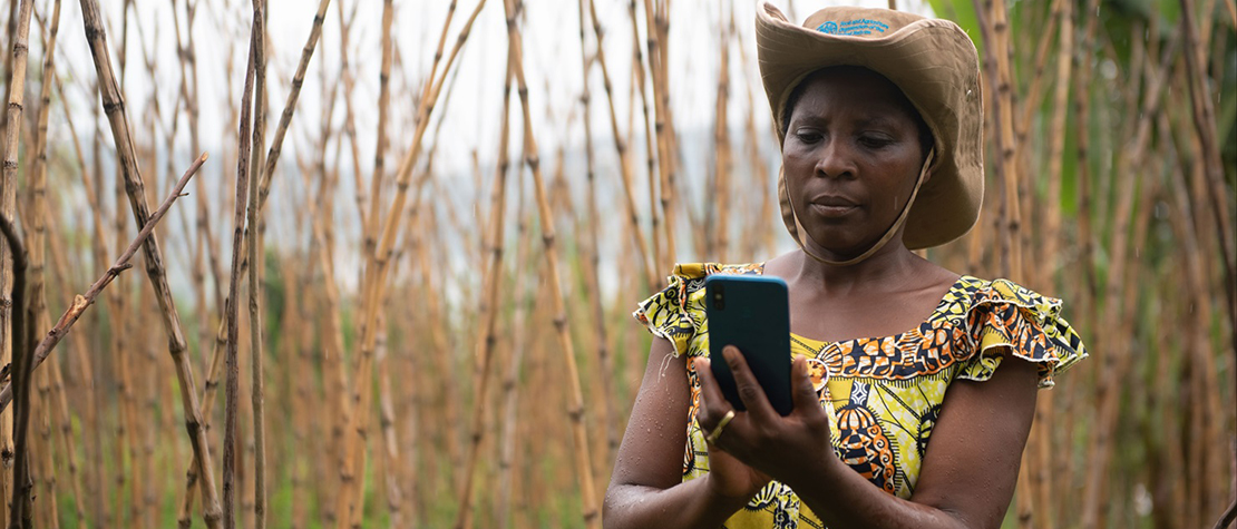 DSP Visual: bringing agricultural services close to farmers by using digital technology