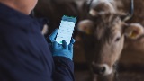 Veterinary technician, Shorena Jambazishvili, uploads the data of vaccinated animals into Georgia’s National Animal Identification and Traceability System, implemented with the technical assistance of the Food and Agriculture Organization (FAO).