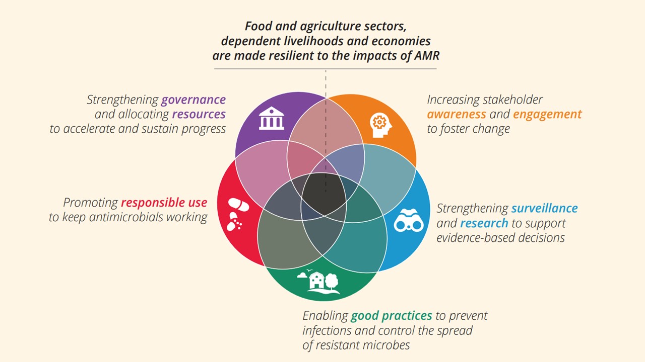 Graphic presenting how the five objectives of the FAO Action Plan are related