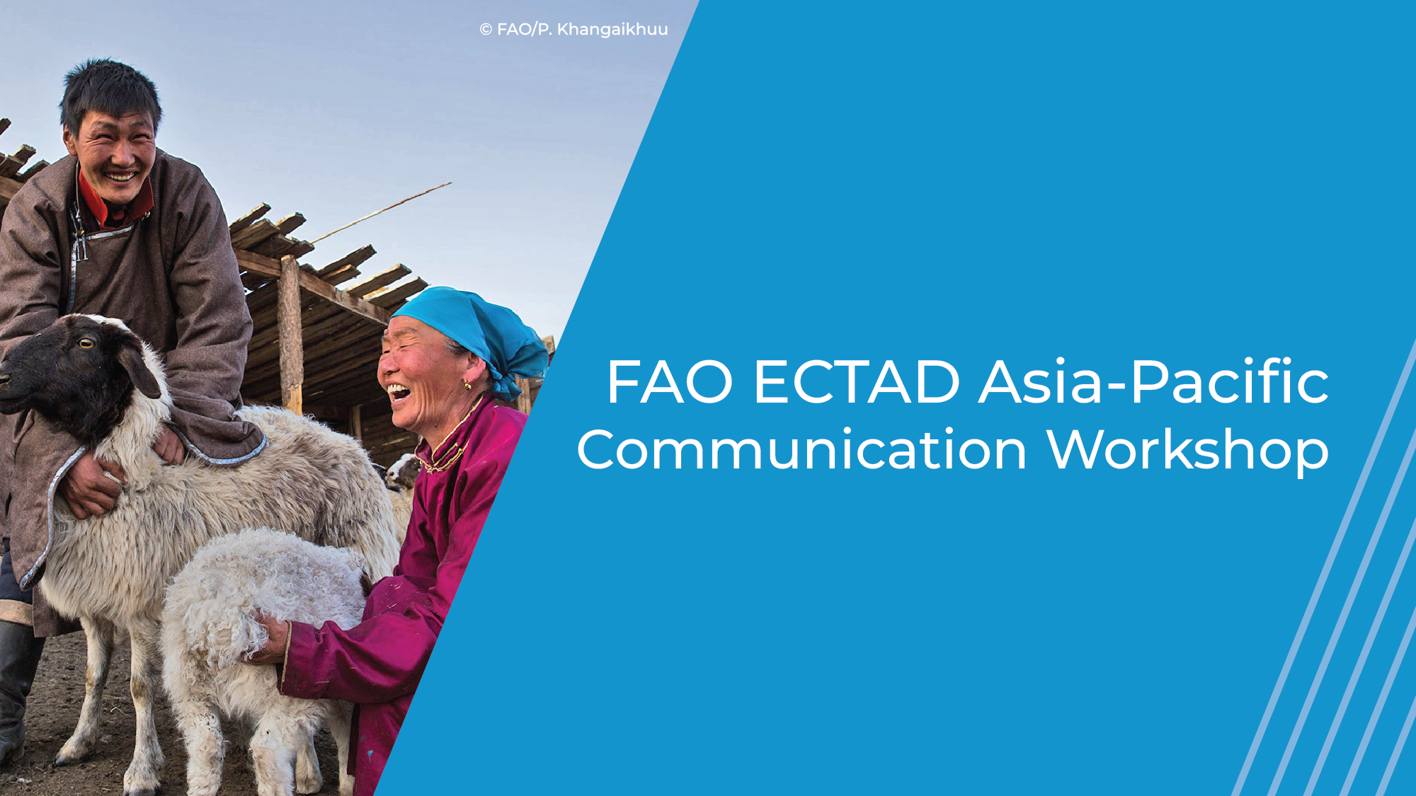 FAO ECTAD Asia-Pacific Communication Workshop