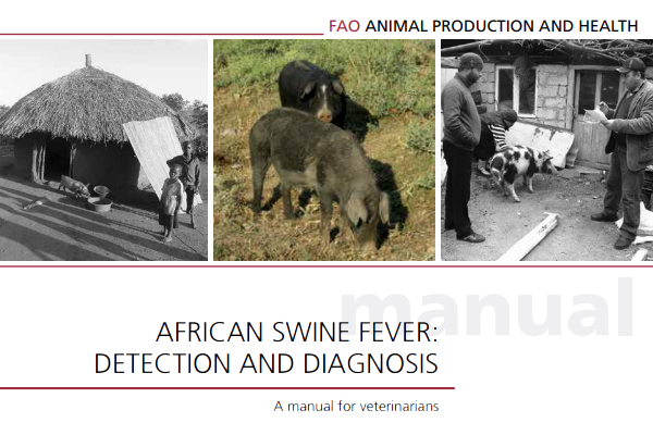 African swine fever: detection and diagnosis – A manual for veterinarians