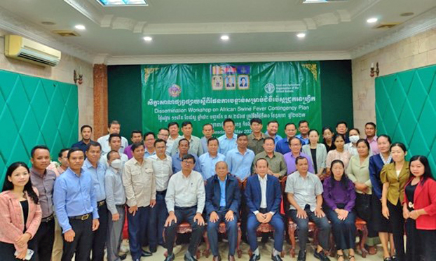 Dissemination workshop on the ASF contingency plan