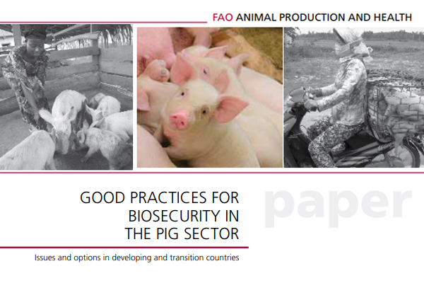 Good practices for biosecurity in the pig sector - Issues and options in developing and transition countries