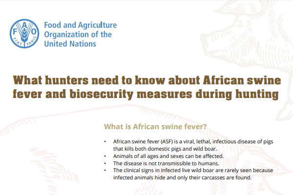 What hunters need to know about African swine fever and biosecurity measures during hunting