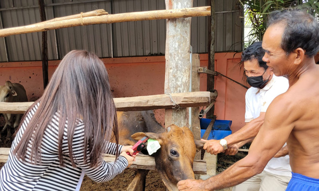 Refresher training on Livestock Identification and Registration Systems 