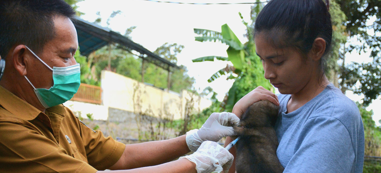 A puppy in Minahasa district received rabies vaccine