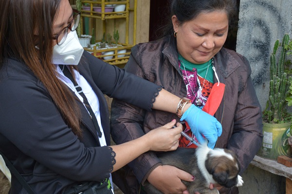 Minahasa district animal health officer conducted rabies response in the field after receiving data from SIZE Nasional