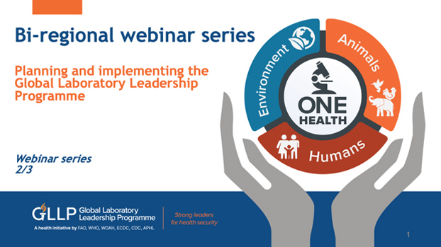 Participation in the WHO’s regional webinar on laboratory leadership