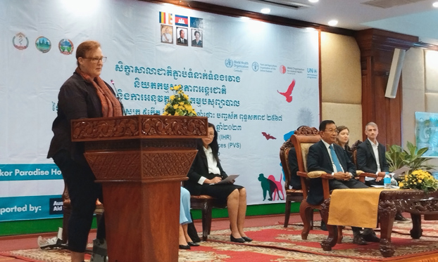 National Bridging Workshop organized in Cambodia