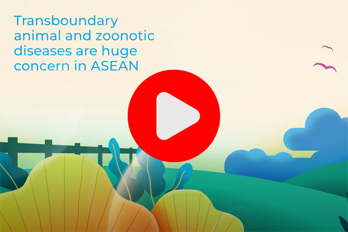 ASEAN Coordinating Centre for Animal Health and Zoonoses (ACCAHZ) - teaser
