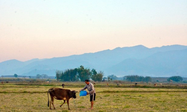 FAO and China close the project in Greater Mekong Subregion