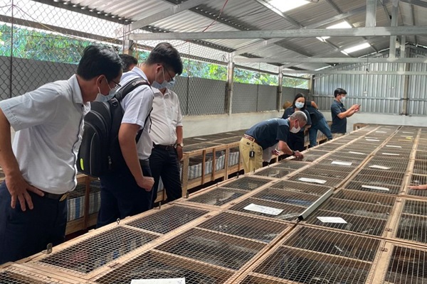 FAO and Government of Viet Nam conclude wildlife facilities assessment for zoonotic risks