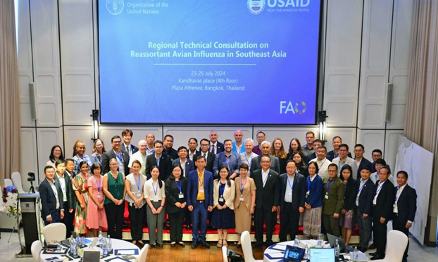 Regional technical consultation on reassortant avian influenza in Southeast Asia