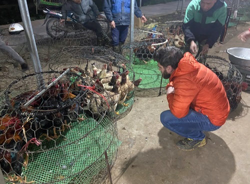 Timothée Vergne, ENVT project coordinator visited live bird markets in Ha Noi