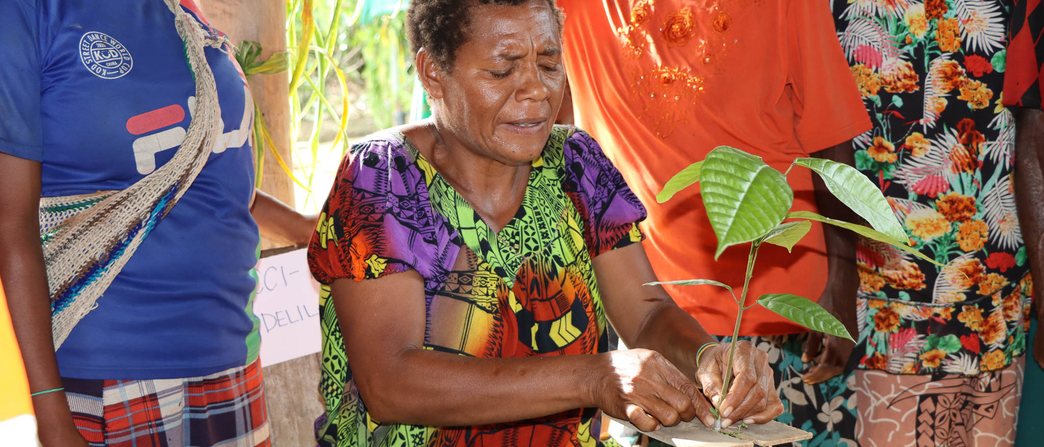 Women participating in a cocoa upskilling training organised by the EU-STREIT PNG Programme_Banner