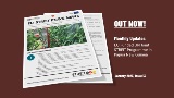 Issue 13 of the EU Funded UN Joint STREIT PNG Programme's newsletter