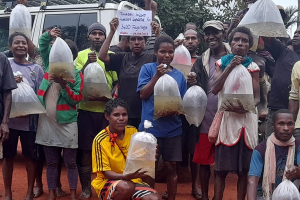 Fish farmers received quality fingerlings distributed by the FAO-led EU-STREIT PNG Programme in the Sepik region of Papua New Guinea.