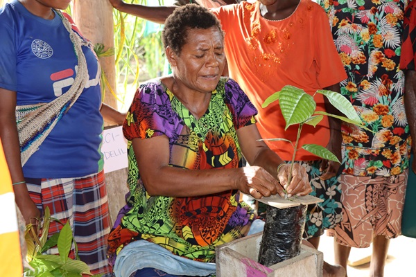 A woman from Poro Village in West Sepik participate in cocoa upskilling training organised by the EU-STREIT PNG Programme