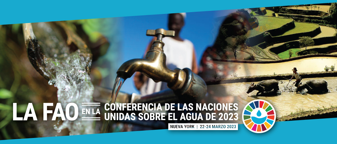 SPANISH - UN 2023 WATER CONFERENCE