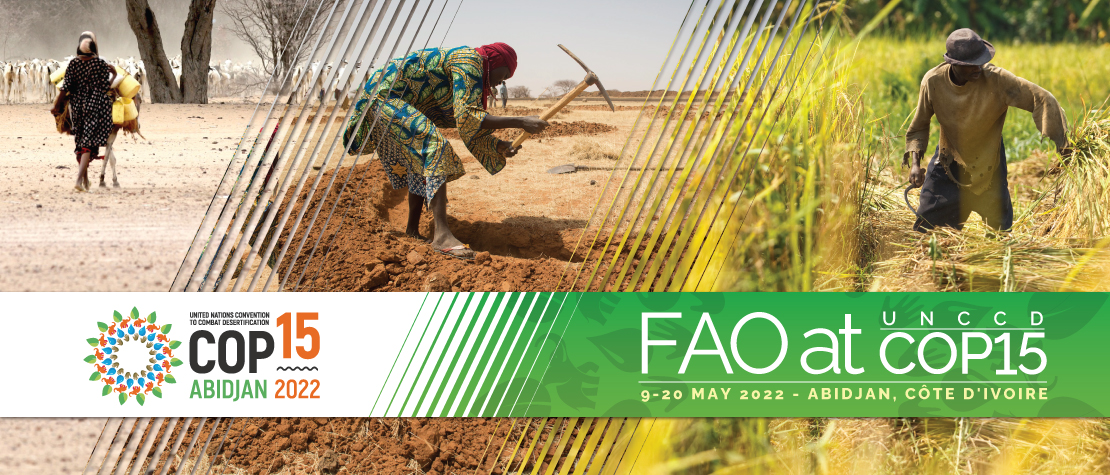 FAO at the UN Convention to Combat Desertification Conference