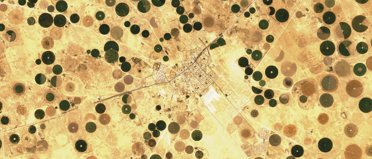 Irrigating from space: how FAO-developed   remote sensing technology can make a difference