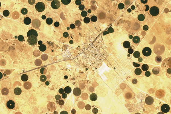 Irrigating from space: how FAO-developed   remote sensing technology can make a difference