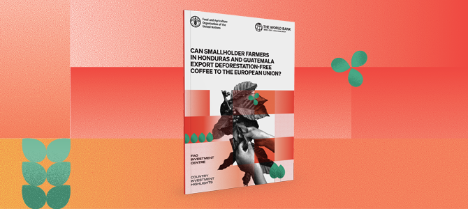 Can smallholder farmers in Honduras and Guatemala export deforestation-free coffee to the European Union