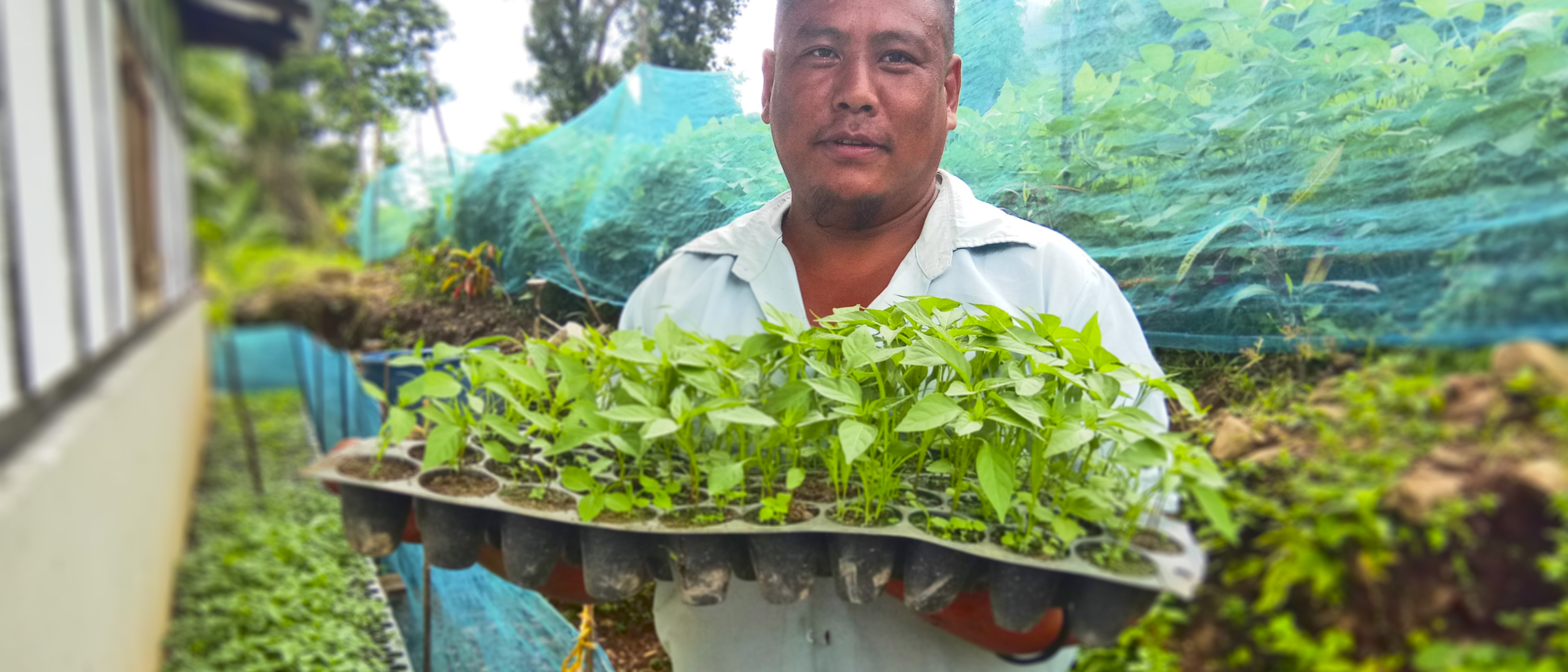 Catalyzing the transition to sustainable and inclusive agrifood systems in Bhutan