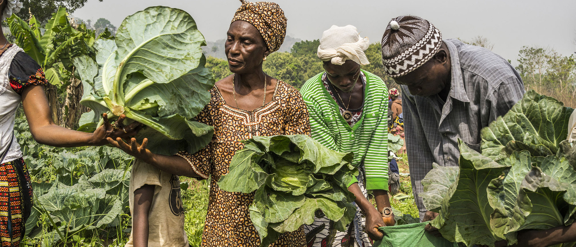 Climate Finance: an instrument for sustainable agrifood system transformation in Sierra Leone