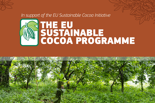 Cocoa Agroforestry Web Banner