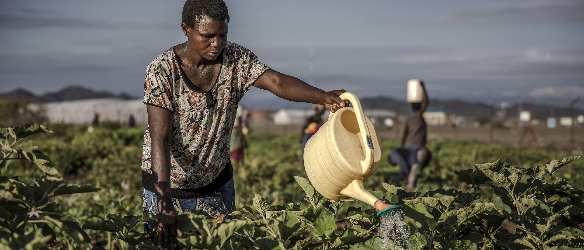 Enhancing investment in food and agriculture in Africa hand in hand with the African Development Bank Group