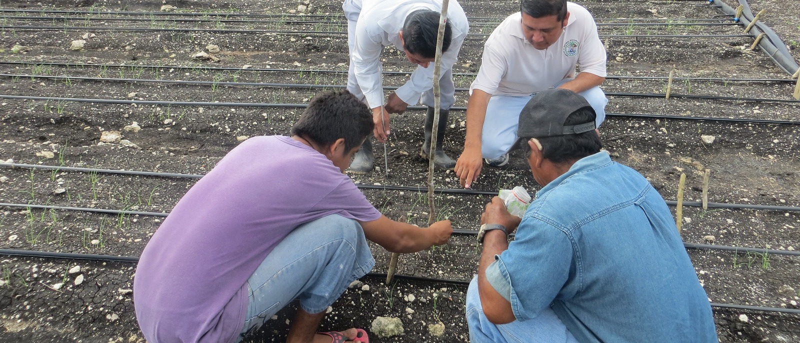 Farmers in Belize