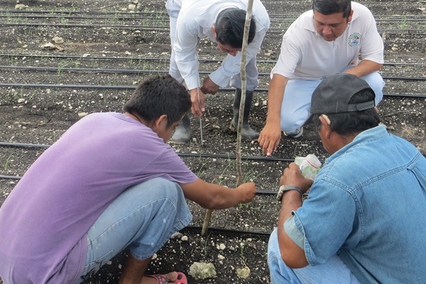 Farmers in Belize