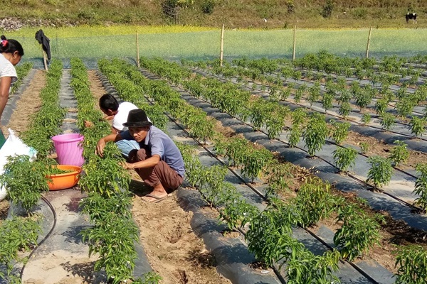 Farmers in Bhutan