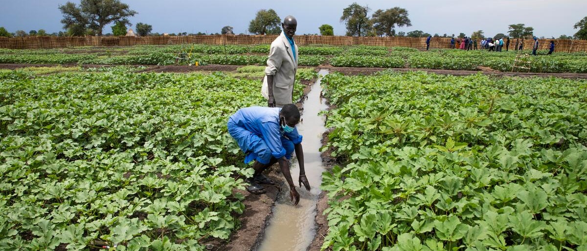 Farmers in South Sudan