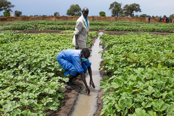 Farmers in South Sudan