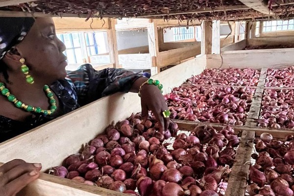 سيراليون: من التقييم إلى العمل الملموس من أجل النظم الغذائية المستدامة