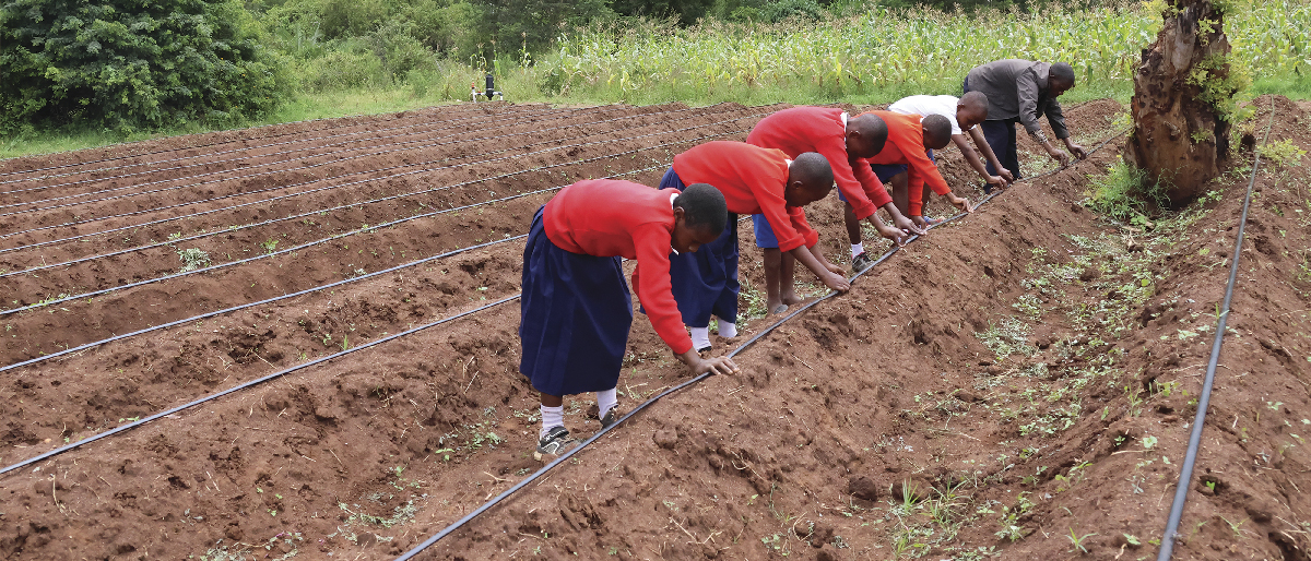 Hand-in-Hand Initiative in Action: Ensuring Tanzanian Youth Are Not Left Behind