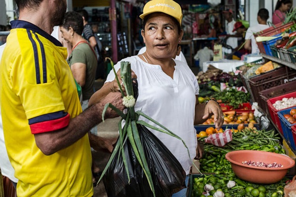 Transicionar hacia sistemas agroalimentarios sostenibles en Colombia: un enfoque territorial en tres regiones