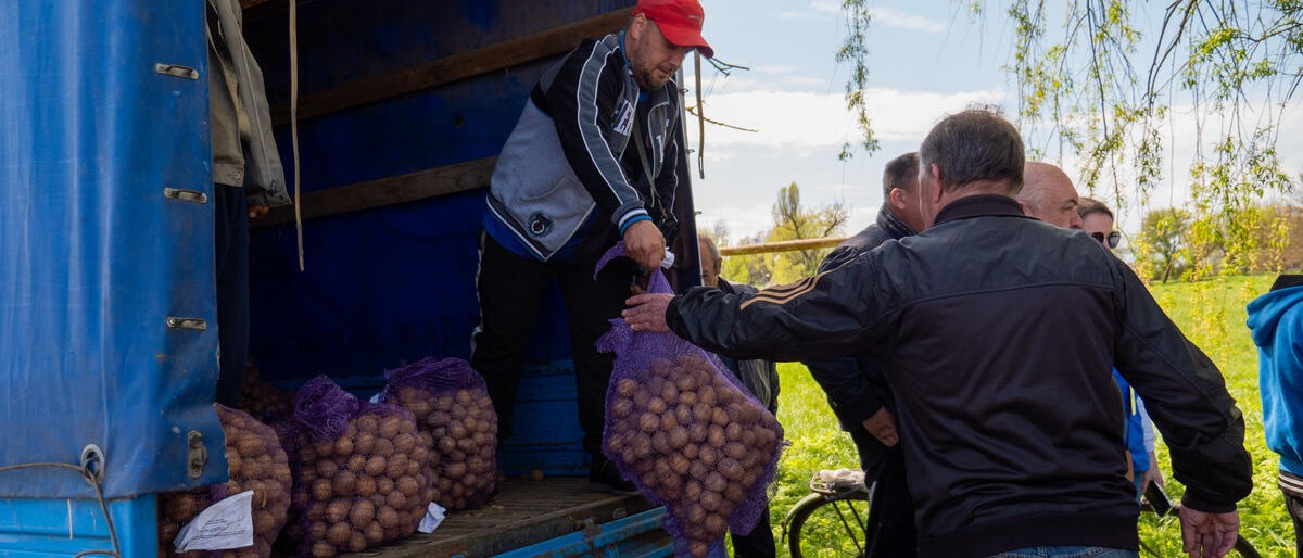 Unloading potatoes from a truck in Ukraine