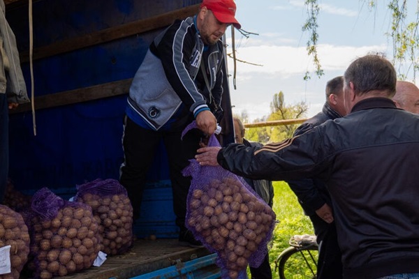 Unloading potatoes from a truck in Ukraine