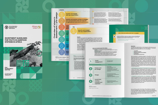 Nuevas directrices para aumentar las inversiones destinadas a los jóvenes en los sistemas agroalimentarios de África
