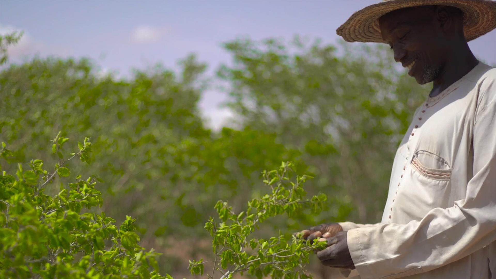 Agricultor en Níger